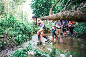 BIB: 
                            <button type="button" onclick="openModal(25516976)" class="btn btn-primary btn-sm float-right btn-popup" data-toggle="modal" data-target=".modal-high-quality">
                        <i class="fas fa-shopping-cart"></i> Add to Cart
                    </button>
                                            <button type="button" onclick="isThisMe(25516976, true)" class="btn btn-success btn-sm float-right btn-popup btn-isme hidden" data-toggle="tooltip" data-placement="bottom" title="นี่คือรูปของคุณใช่ไหม คลิกที่นี่เพื่อเอาเข้าอัลบั้ม">
                        <i class="fas fa-plus"></i> Add to album
                    </button>
                    <button type="button" onclick="isThisMe(25516976, false)" class="btn btn-warning btn-sm float-right btn-popup btn-isnotme hidden">
                        <i class="fas fa-ban"></i> Remove from album
                    </button>